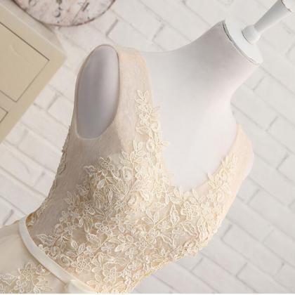 Simple Light Champagne Lace Short Homecoming Dress..